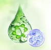 Astatinol (Astaxanthin + Retinol)